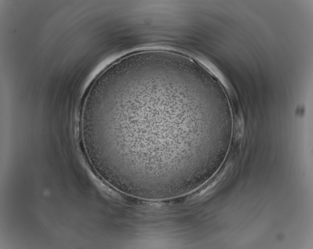 X0000091101101200708201514