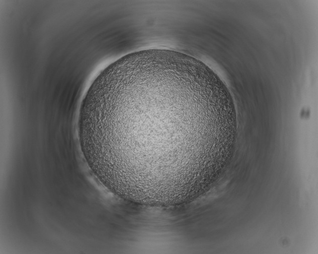 X0000091101104200708201514