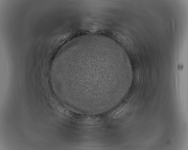 X0000091101105200708201514