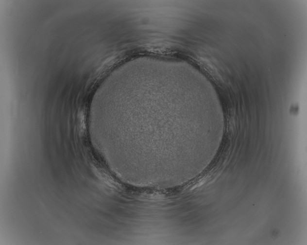 X0000091101106200708201514