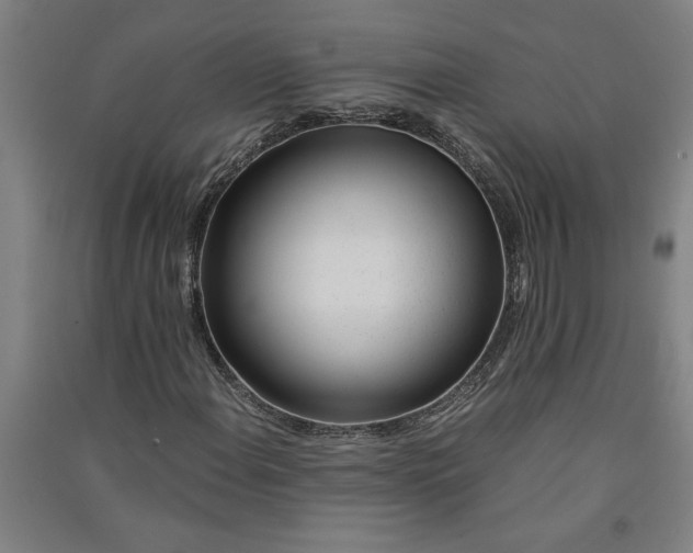 X0000091101108200708201514