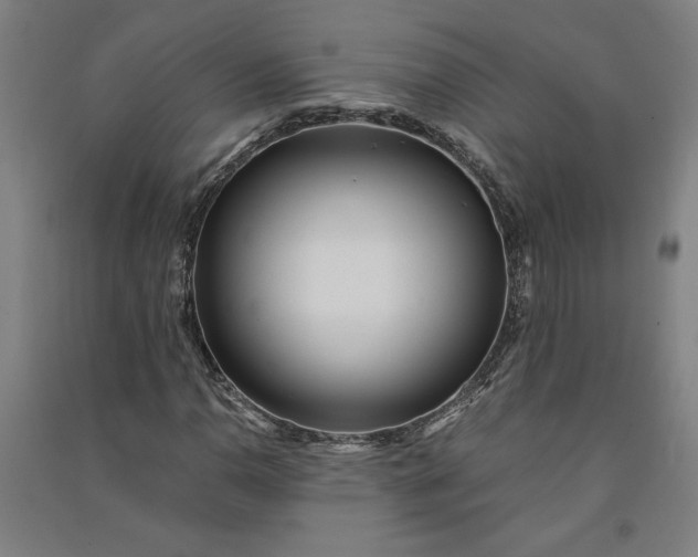 X0000091101110200708201514