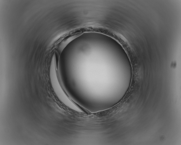 X0000091101112200708201514