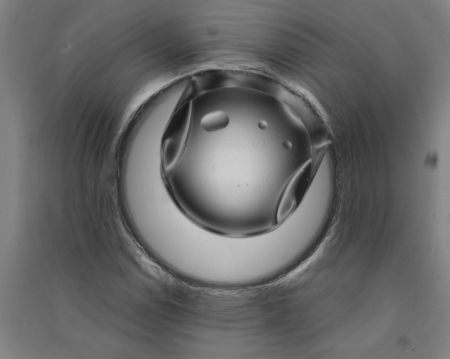 X0000091101114200708201514