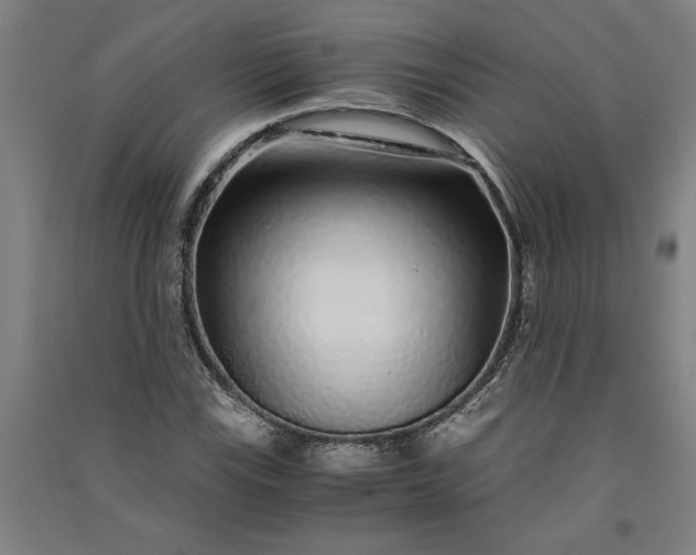 X0000091101115200708201514