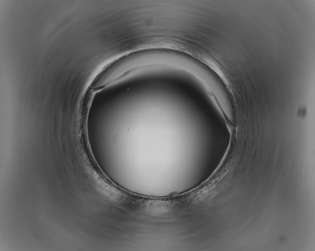 X0000091101116200708201514