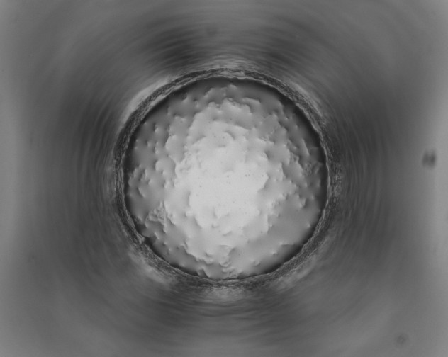 X0000091101117200708201514