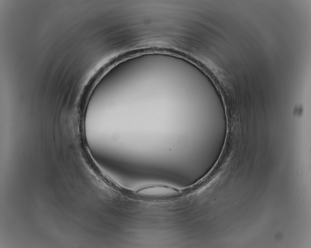 X0000091101118200708201514