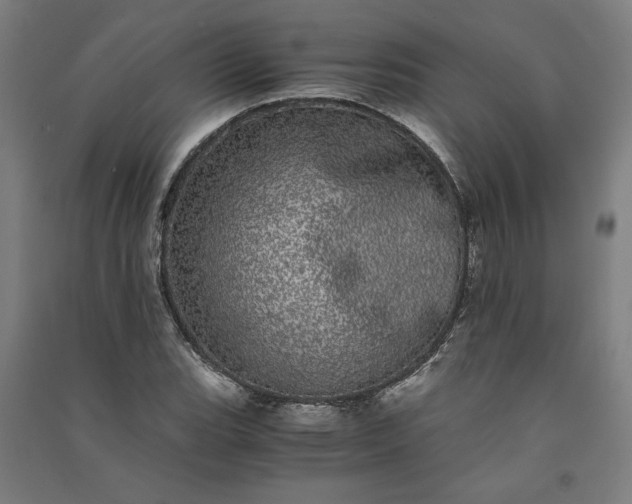 X0000091101119200708201514