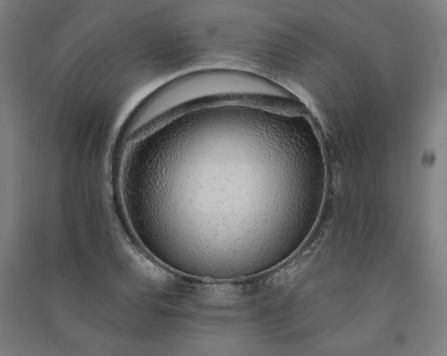 X0000091101120200708201514