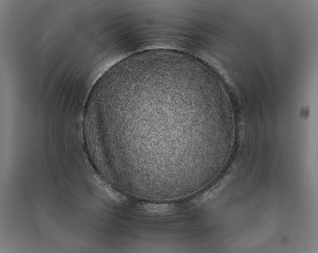 X0000091101121200708201514