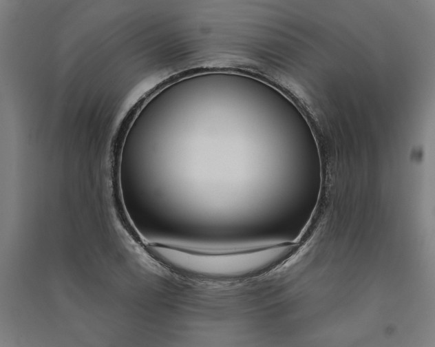 X0000091101122200708201514