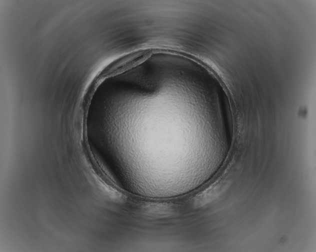 X0000091101123200708201514