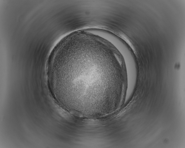 X0000091101124200708201514