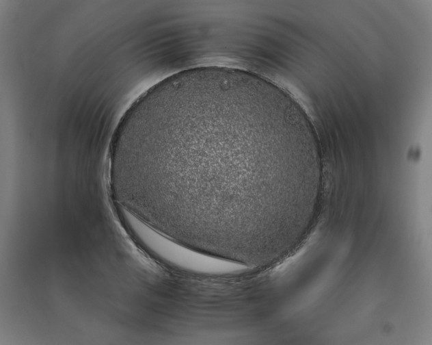 X0000091101125200708201514