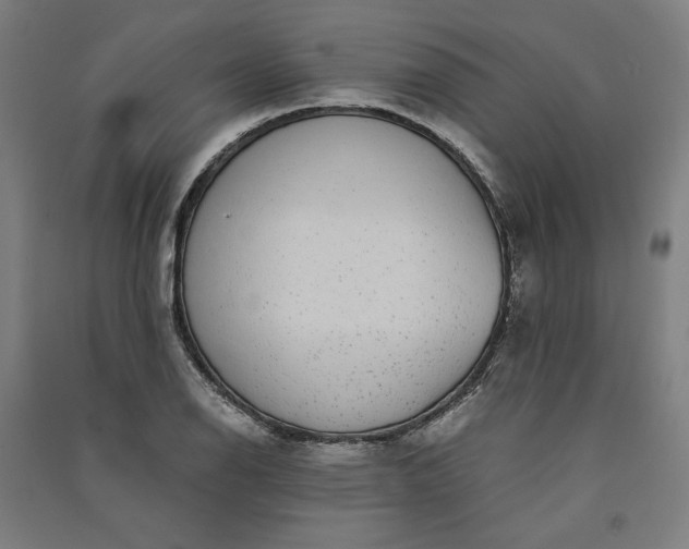 X0000091101126200708201514