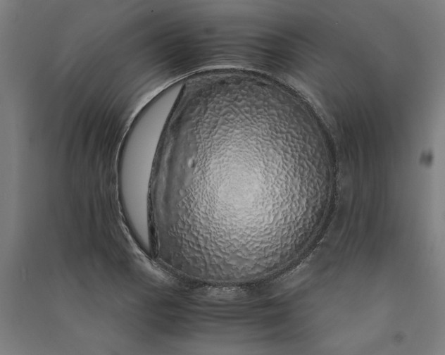 X0000091101129200708201514