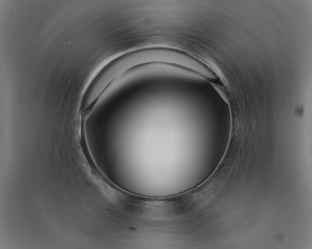 X0000091101132200708201514