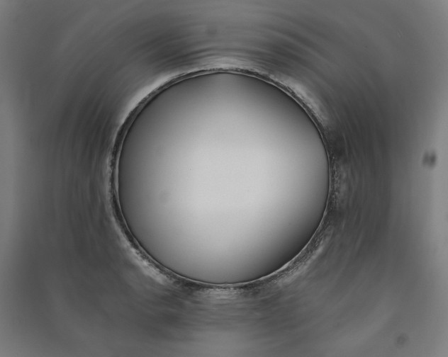 X0000091101134200708201514