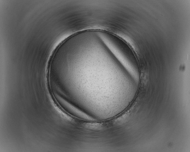 X0000091101135200708201514