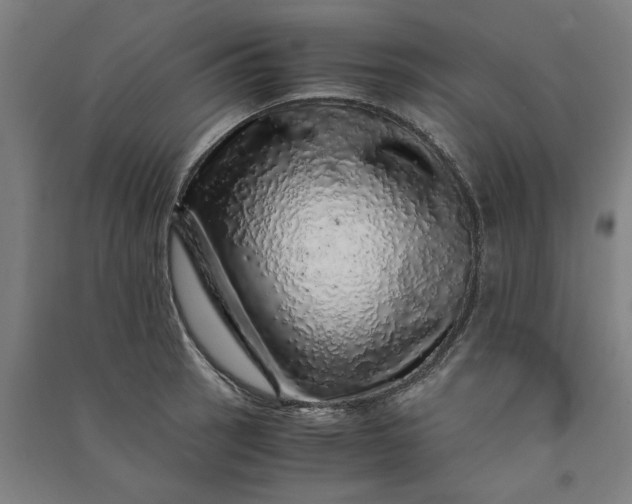 X0000091101137200708201514