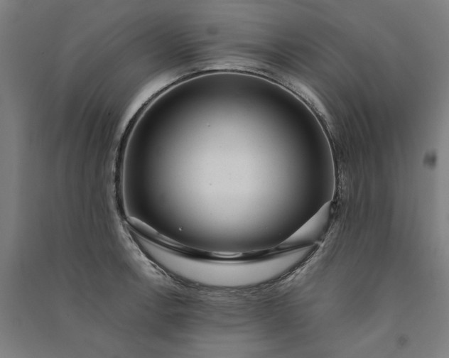 X0000091101138200708201514