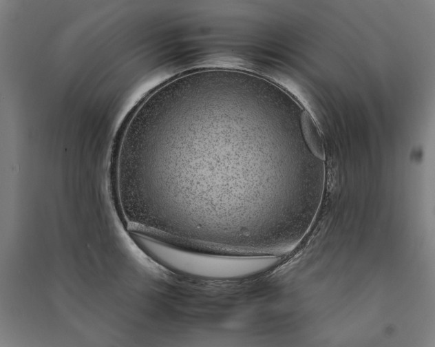 X0000091101139200708201514