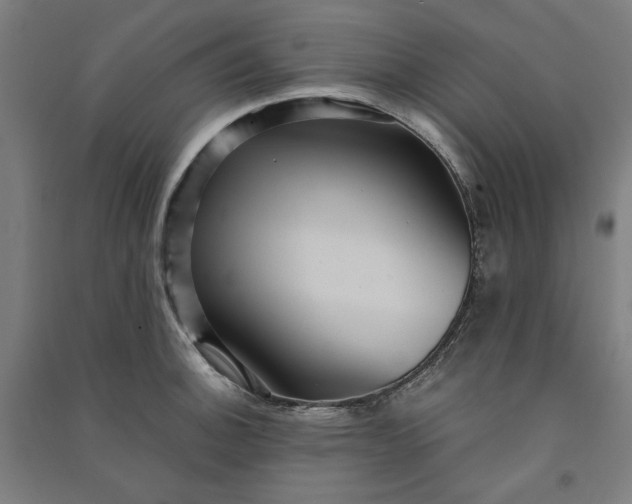 X0000091101140200708201514