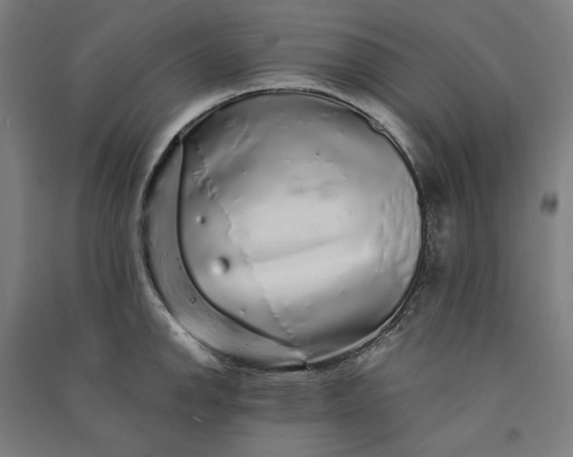 X0000091101142200708201514