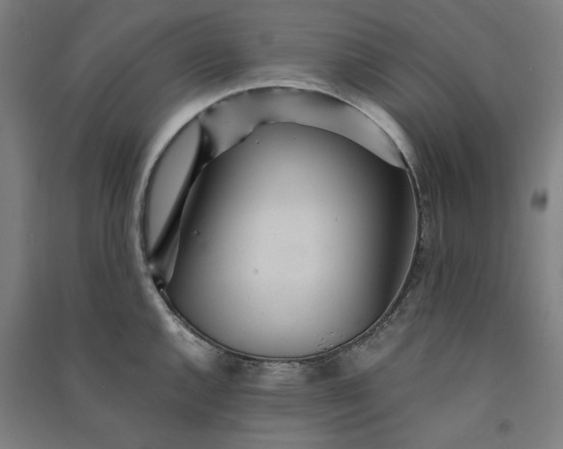 X0000091101144200708201514