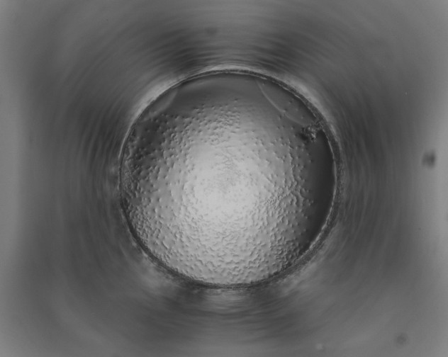 X0000091101145200708201514