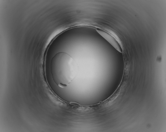 X0000091101146200708201514