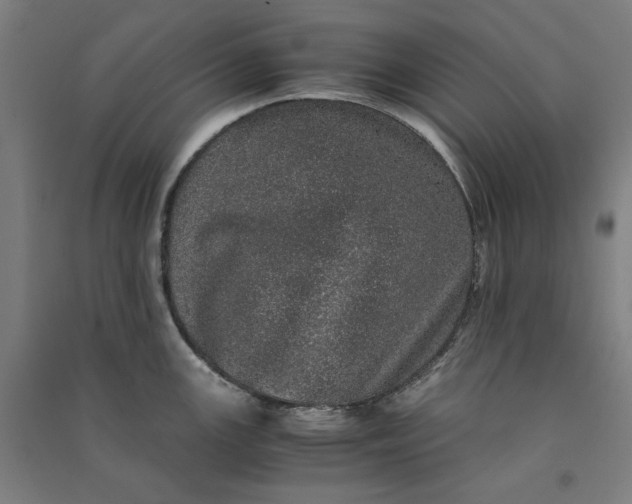 X0000091101147200708201514