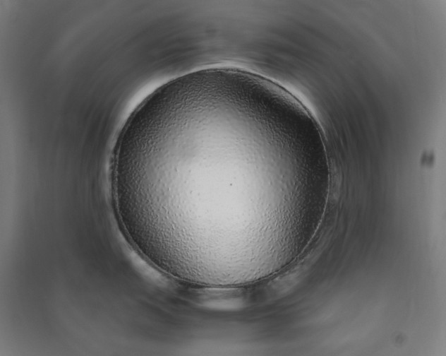 X0000091101151200708201514