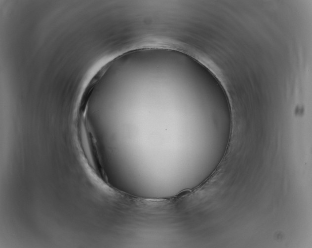 X0000091101152200708201514