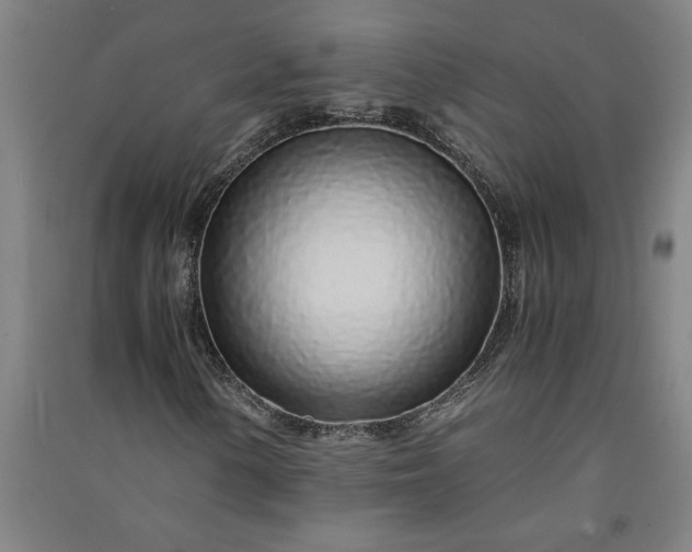 X0000091101154200708201514