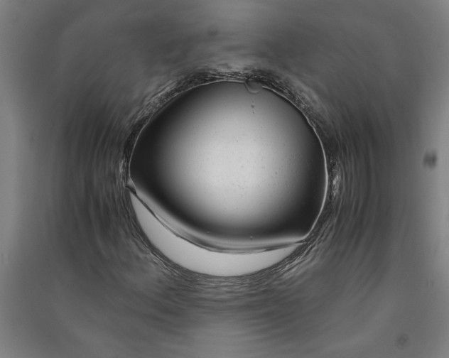 X0000091101156200708201514