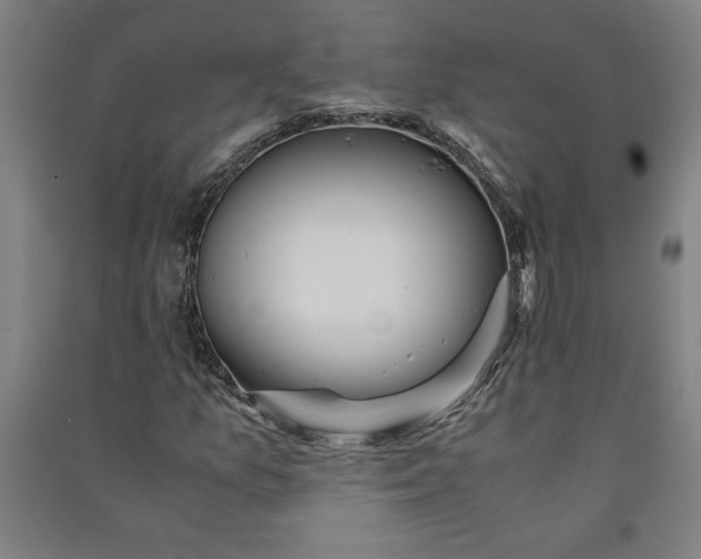 X0000091101157200708201514