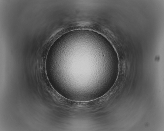 X0000091101158200708201514