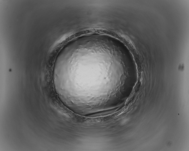 X0000091101159200708201513