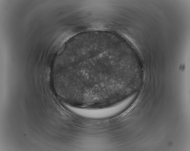 X0000091101161200708201513