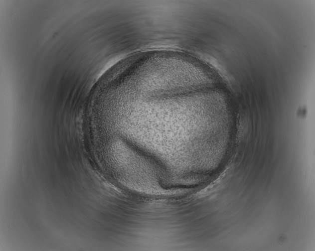 X0000091101162200708201513