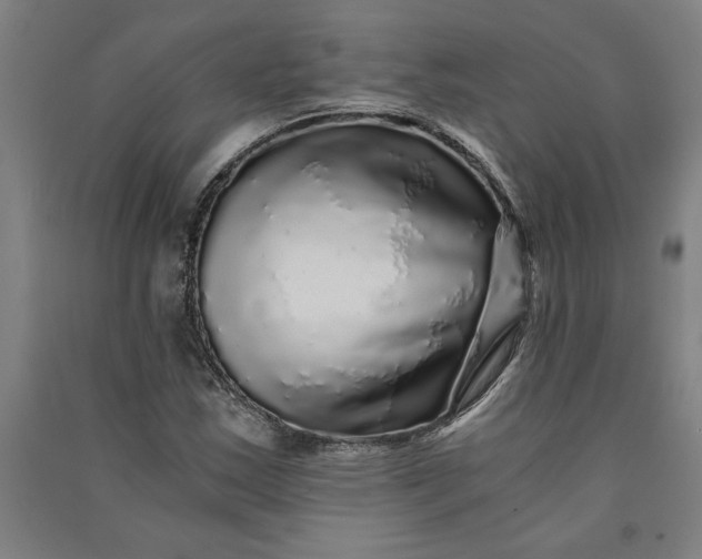 X0000091101163200708201513