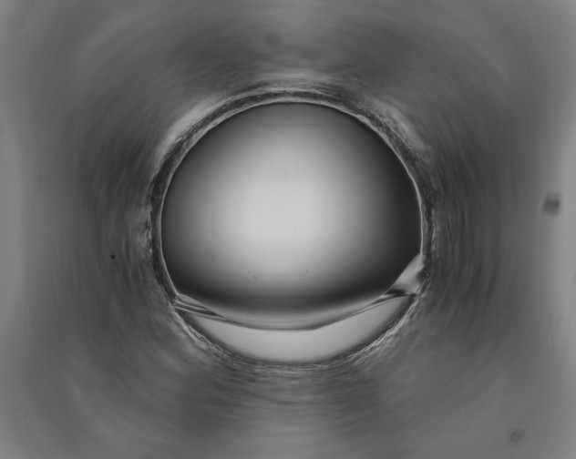 X0000091101164200708201513