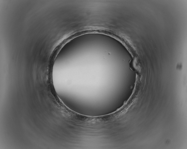 X0000091101165200708201513