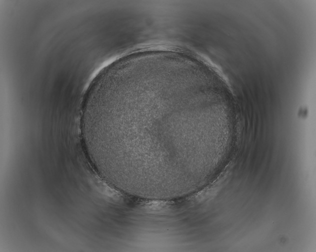 X0000091101166200708201513