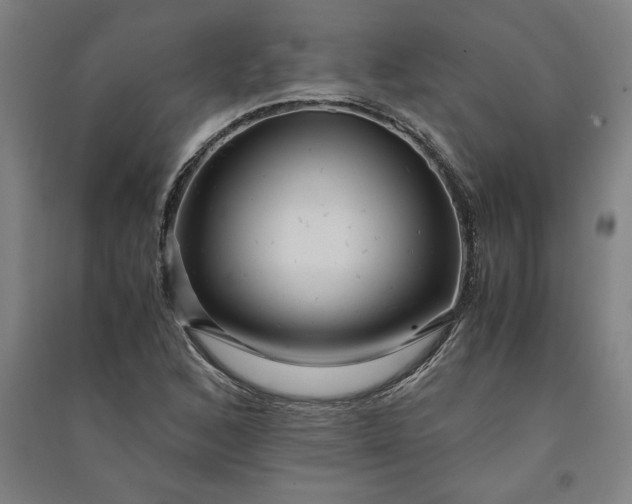 X0000091101168200708201513