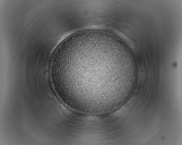 X0000091101170200708201513