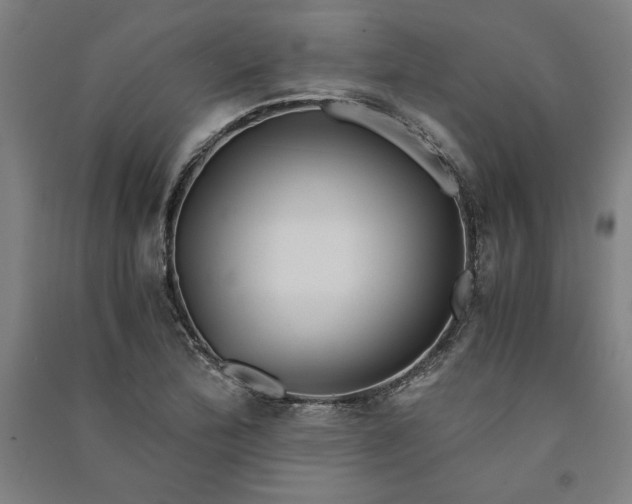 X0000091101172200708201513