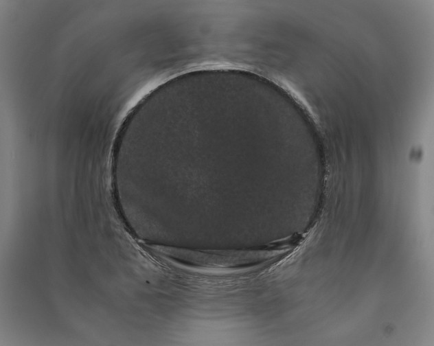 X0000091101173200708201513